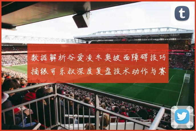 数据解析谷爱凌冬奥坡面障碍技巧摘银可乐叔深度复盘技术动作与赛事策略