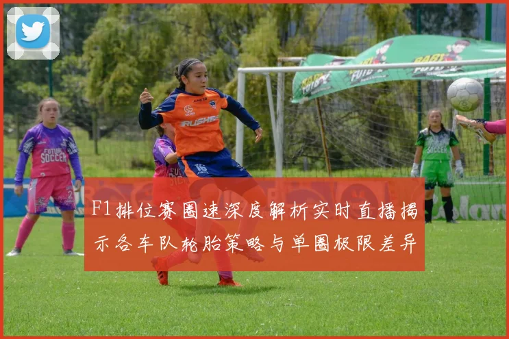 F1排位赛圈速深度解析实时直播揭示各车队轮胎策略与单圈极限差异