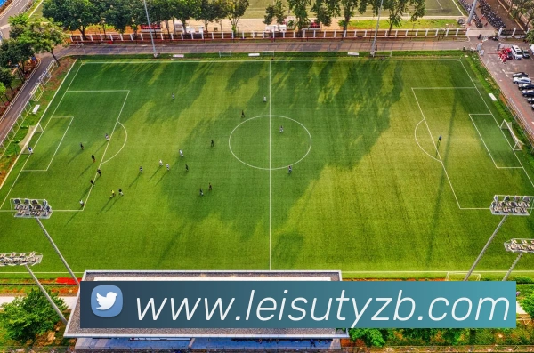 App Interface Preview